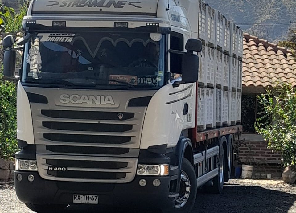 Camión Scania de T Y F Transportes en ruta por carretera de Chile